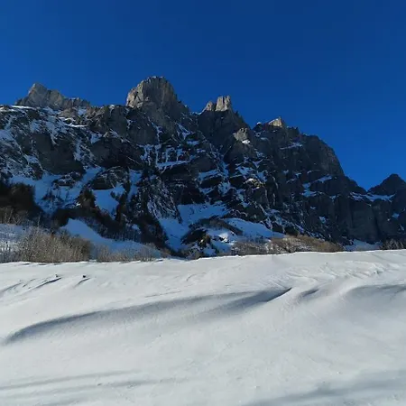 Apartment Alpine Siesta